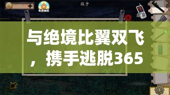 与绝境比翼双飞，携手逃脱365道门：真实体验与智谋的终极考验